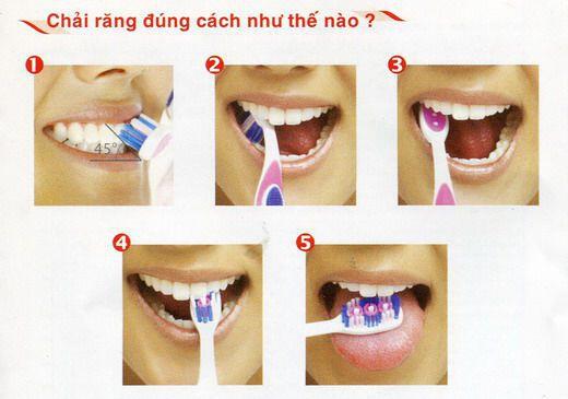 Chải răng đúng cách và dùng chỉ tơ nha khoa ảnh 3